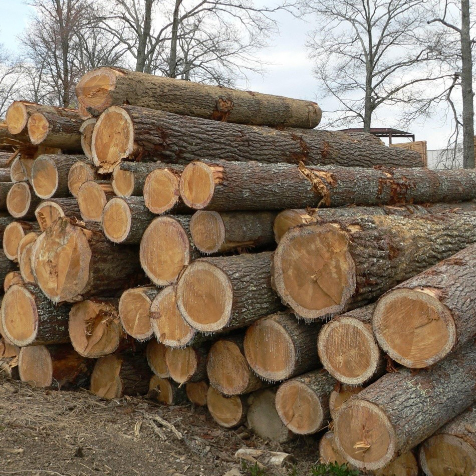 Rough White Pine Lumber | Cline Lumber